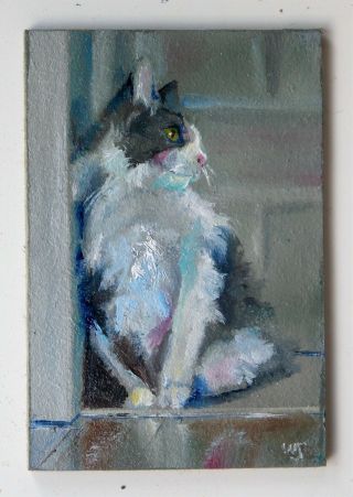 Aceo - William Jamison Miniature Oil Painting Maine Coon Cat Kitten