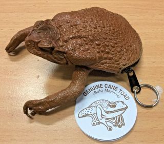 Stunning Cane Toad Skin Full Body Zip Up Coin Purse Australian Made Rare Exotic