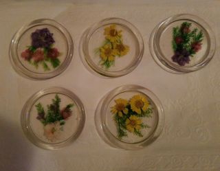 5 Vintage Coasters Clear Acrylic Lucite Embedded Pressed Dried Flowers W/holder