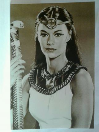 Joanna Cameron Hand Signed Autograph On Back Of 4x6 Photo - The Secrets Of Isis