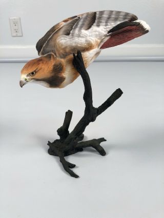 Royal Worcester Birds Of Prey Series,  Red - Tailed Hawk