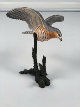 Royal Worcester Birds Of Prey Series,  Sharped - Shinned Hawk