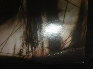 Poison - Native Tongue 1993 Korea LP Vinyl 4p Insert No Barcode Motley Crue [NM] 4