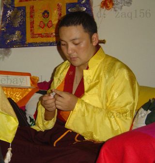 Old Tibetan Dzi Bead Agate Amulet ' 9 Eyes ' Blessed By Eminent Tibetan Lama 6