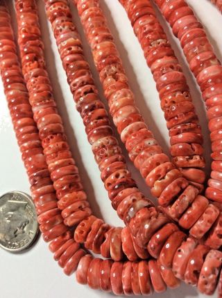 One 22 Inch Bead Strand Red Spiny Oyster Shell Rondells Aaa Grade Graduated