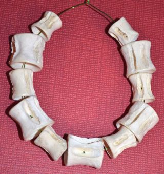 Real Fish Bone Vertebrae Tribally Made Protection Beads Africa - African Trade