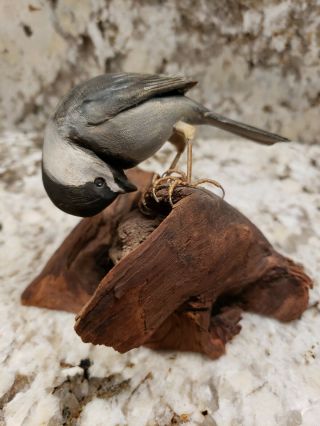 Antique Shorebird On Driftwood Wood Carving Signed By Artist Rigg,  Decoy Bird