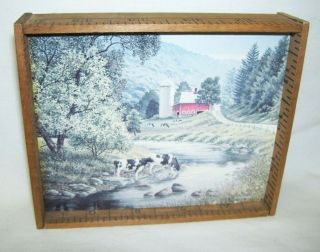 Ruler Framed Print Pasture Scene With Holstein Cows And Farm