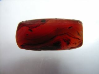 1 Ancient Neolithic Carnelian,  Agate Bead,  Stone Age,  TOP RARE 3