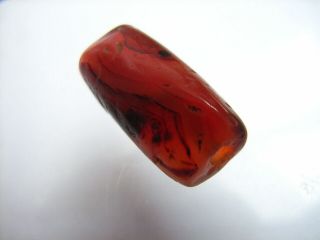 1 Ancient Neolithic Carnelian,  Agate Bead,  Stone Age,  TOP RARE 4