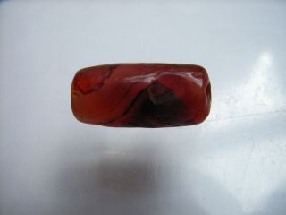 1 Ancient Neolithic Carnelian,  Agate Bead,  Stone Age,  TOP RARE 5