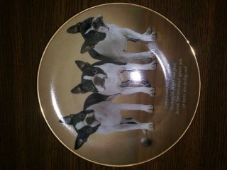 Danbury Cherished Boston Terrier Companions Porcelain Plate Vintage Rare