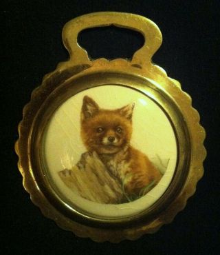 Fox Cub Ceramic Horse Harness Brass From England Fox Lover Wow Your Walls
