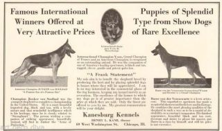 1920s Antique Kanesburg Kennel German Shepherd Grand Champion Dog Breeder Ad