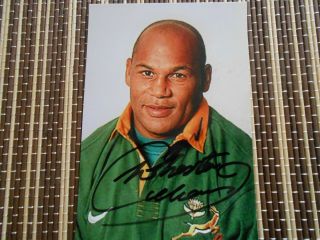 Chester Williams,  South Africa Rugby Player,  Hand Signed Photo 6 X 4