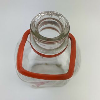 Vintage Sealtest Half Gallon Milk Jar Jug With Plastic Handle Deposit Bottle 4
