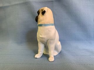 Antique Pug Dog Figurine Porcelain Bisque Blue Collar 4 - 1/8 