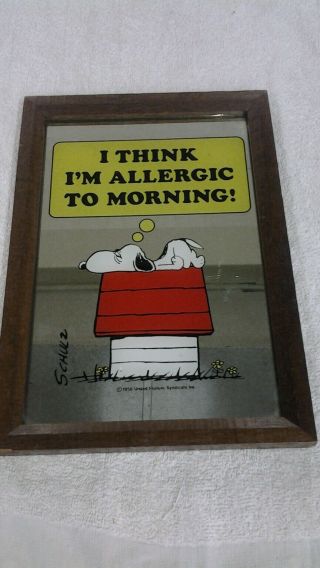 Vintage Snoopy Doghouse Framed Mirror I Think I’m Allergic To Morning 1958