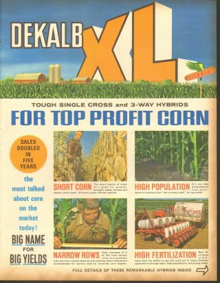 1968 Large 4pg Print Ad Of Dekalb Xl Hybrid Corn Seed Sudax & Sorghum