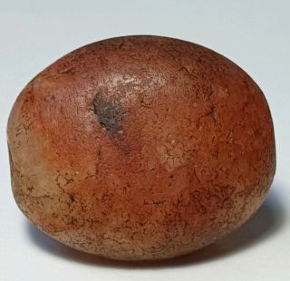 Rare Antique Indo - Tibetan Carnelian / Agate Bead