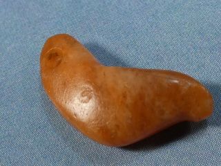 Ancient Pre - Columbian Tairona Red Agate Bird Symbol Bead 18 By 8.  1 By 5.  1 Mm