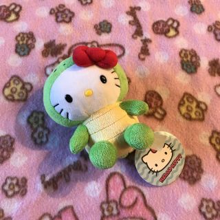 Cute Sanrio Hello Kitty Turtle Plush 2015