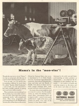 Vtg 1946 National Dairy Products Cow Calf Movie Set Camera Production Film Ad