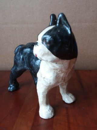 Antique Cast Iron Boston Terrier Dog Still Bank Standing Black & White