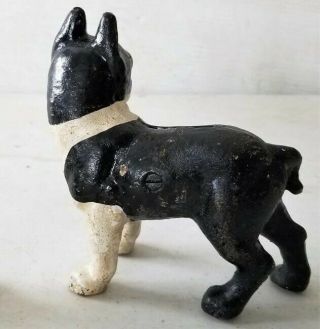Antique Cast Iron BOSTON TERRIER Dog STILL BANK Standing Black & White 3