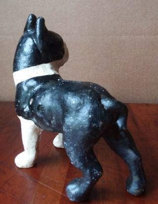 Antique Cast Iron BOSTON TERRIER Dog STILL BANK Standing Black & White 5