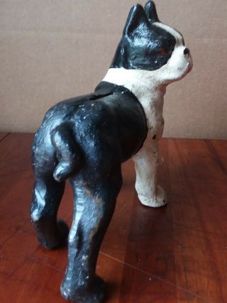 Antique Cast Iron BOSTON TERRIER Dog STILL BANK Standing Black & White 6