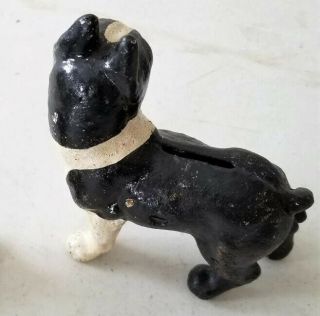 Antique Cast Iron BOSTON TERRIER Dog STILL BANK Standing Black & White 8