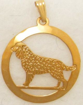 American Water Spaniel Jewelry Gold Pendant By Touchstone Dog Designs