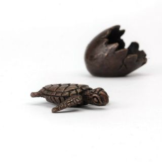 Turtle Hatching From Shell,  Bronze Okimono Sculpture,  Tokonoma Or Bonsai Display