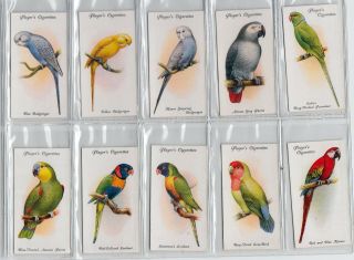 1933 Complete Set Of 50 Gorgeous Bird Paintings Cards Finches Canaries Parrots,