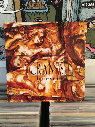 Cranes Forever Vinyl Lp Pressing Shoegaze Mazzy Star