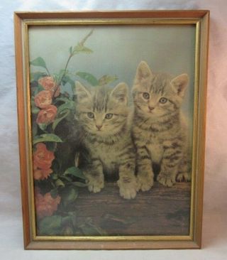 Vintage Framed Print Of 2 Gray Tabby Cat Kittens