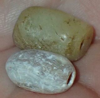 2 Ancient Rare Roman Shell Beads,  1800,  Years Old,  16mm,  S1255