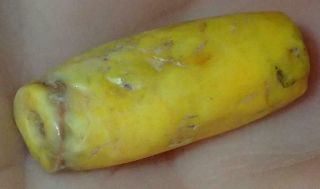 17mm Ancient Roman Very Rare Yellow Jasper Bead,  1800,  Years Old,  S1245