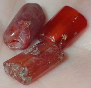 3 Ancient Roman Carnelian Agate Beads,  10.  5 - 13mm,  1800,  Years Old,  S1241