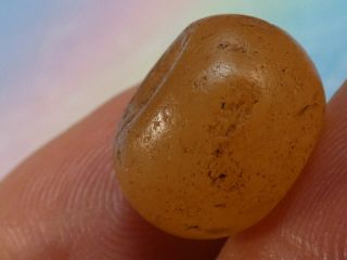 Ancient Neolithic Red Agate Quartzite Shaped Bead Patina 14.  5 By 10.  6 Mm