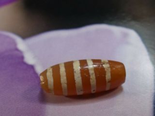 Ancient Agate Carnelian Etched 5 Stripe Pyu Tube Bead 14.  8 By 6.  3 Mm