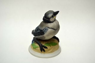 Edward Marshall Boehm Porcelain Baby Blue Jay Bird Figurine,  4 1/2 " H.  1957,  Mt