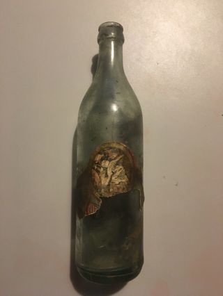 Very Rare Paper Label Red Rock Ginger Ale Cola Bottle Circa 1903 Atlanta Ga Coca