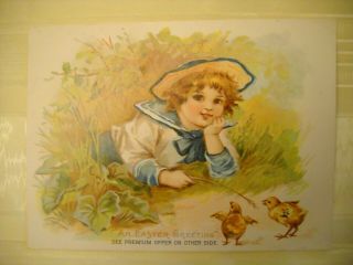 Lion Coffee 1894 Victorian Trade Card Chromo Easter Boy With Chicks Toledo Ohio