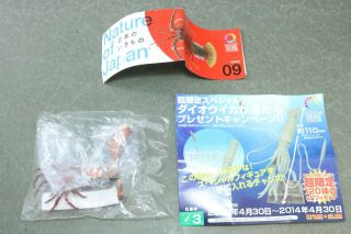Nature Techni Colour Nature Of Japan 09 Ise - Lobster Figure Kitan Club H1051