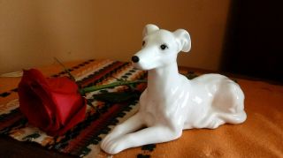 White Ivory Greyhound/whippet Dog Staute,  Figurine Laying Down.  Lay Down