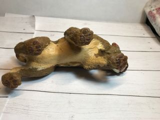 Safari Ltd Missing Links Smilodon Toy,  Prehistoric Saber Tooth Cat Tiger Figure 6