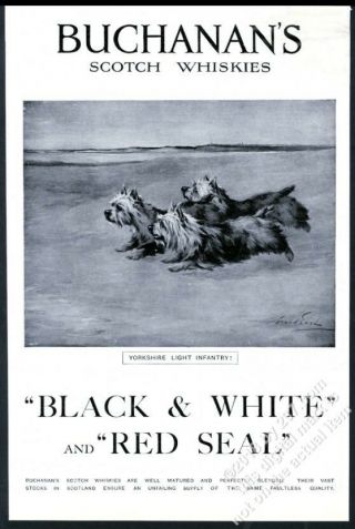 1915 Yorkshire Terrier Maud Earl Art Black & White Scotch Whisky Print Ad