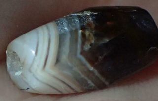 12mm Ancient Roman Agate Bead,  1800,  Years Old,  S1236